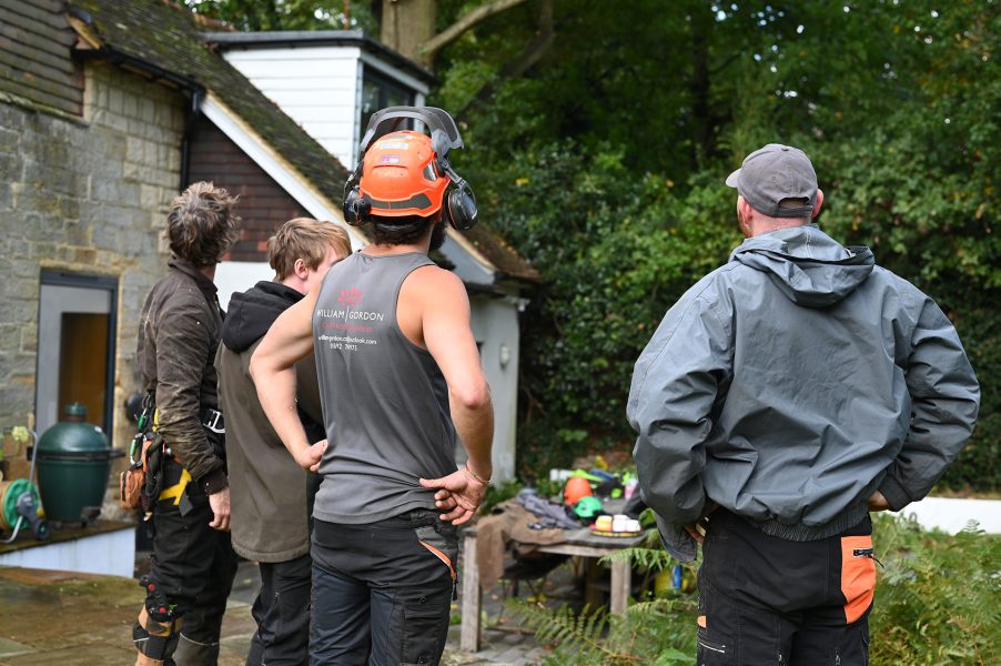 Free tree work? Yes! Honestly …